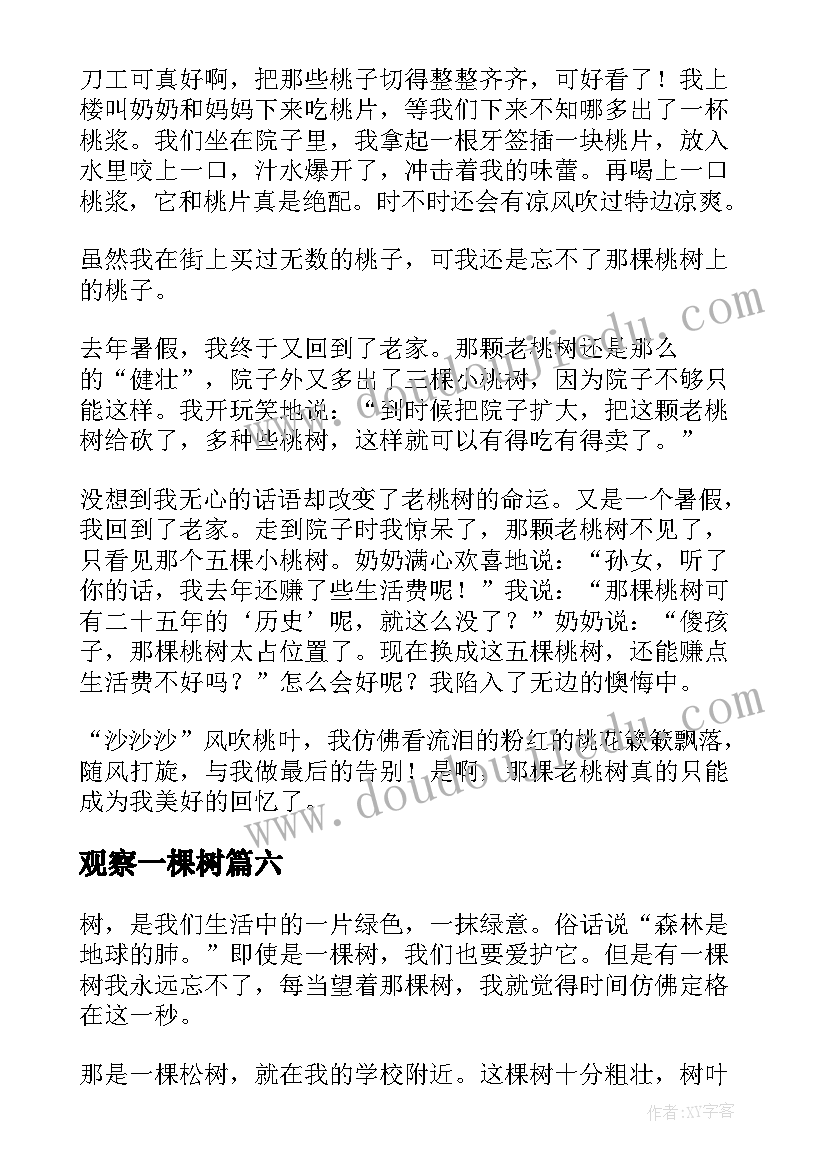 观察一棵树 观察一棵树日记(大全8篇)