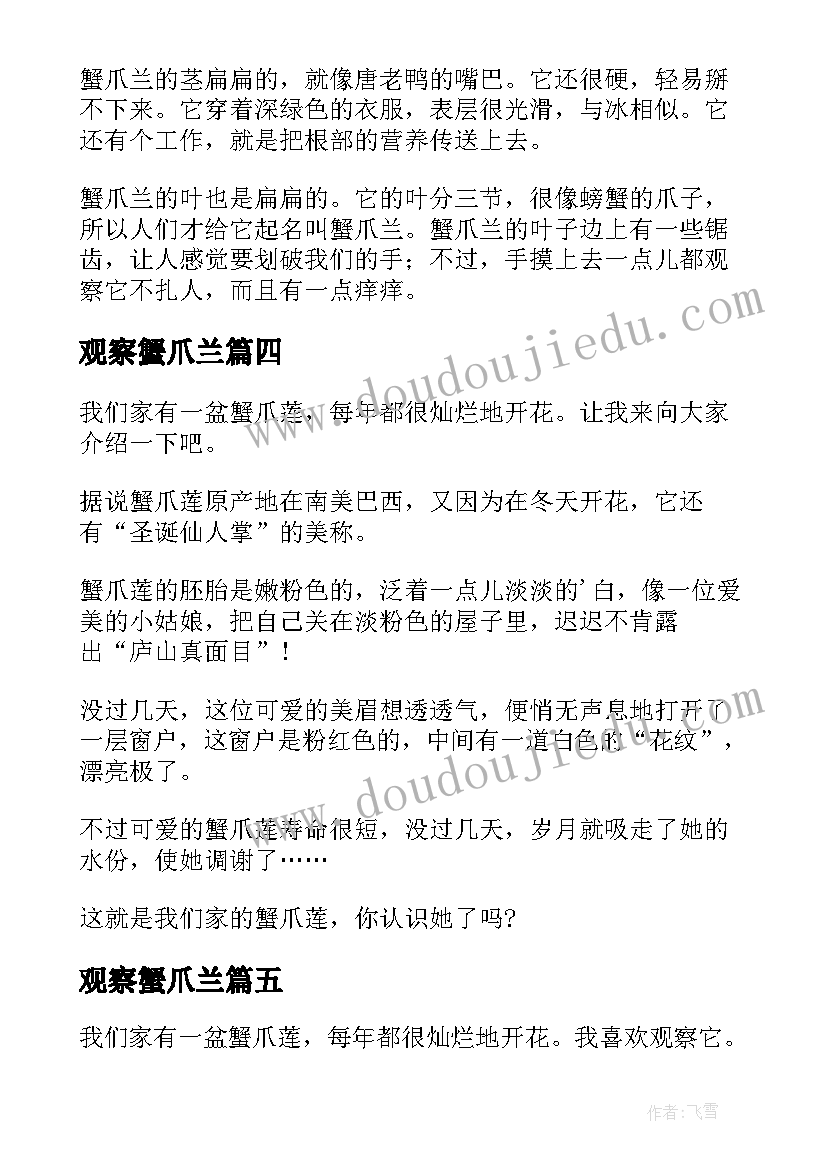 最新观察蟹爪兰 蟹爪兰观察日记(实用8篇)