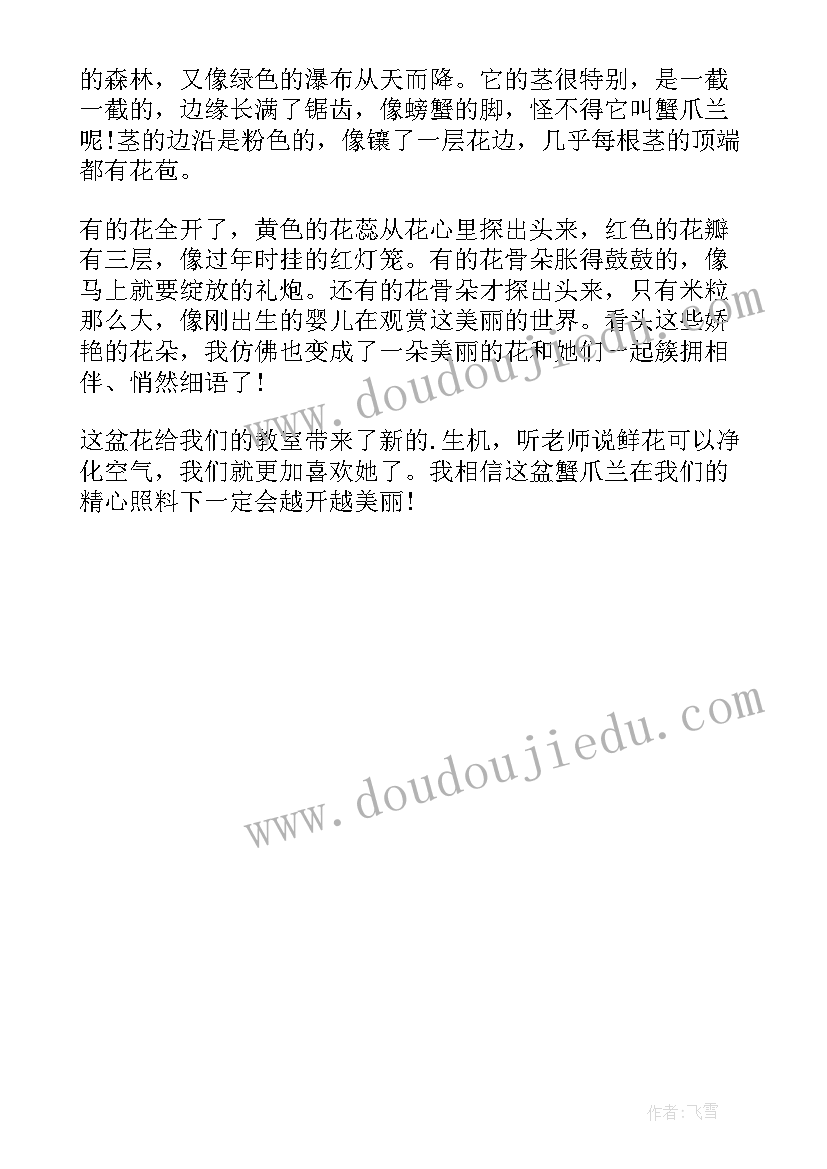 最新观察蟹爪兰 蟹爪兰观察日记(实用8篇)