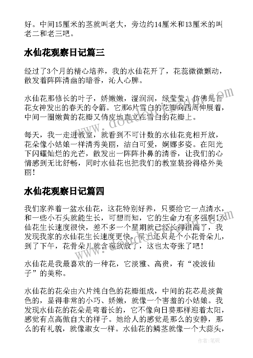 2023年水仙花观察日记 水仙花的观察日记(实用17篇)