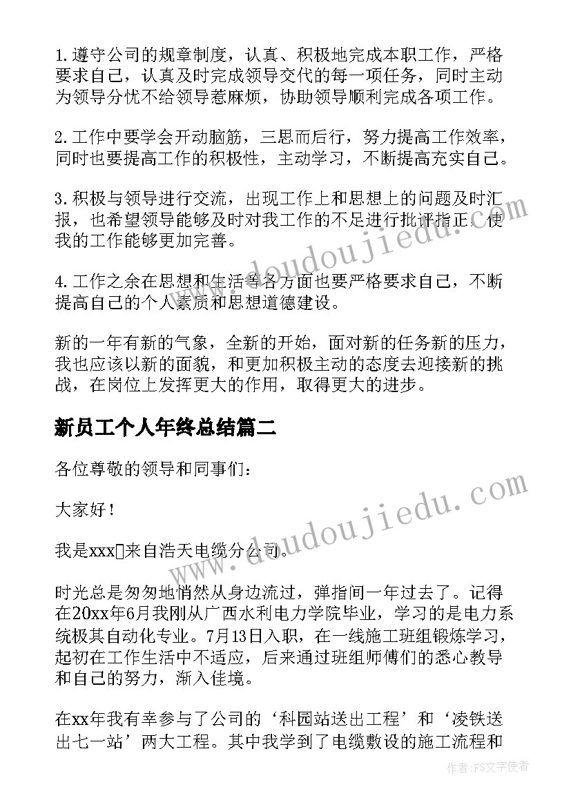 最新新员工个人年终总结 公司新员工个人年终总结及工作计划(汇总5篇)