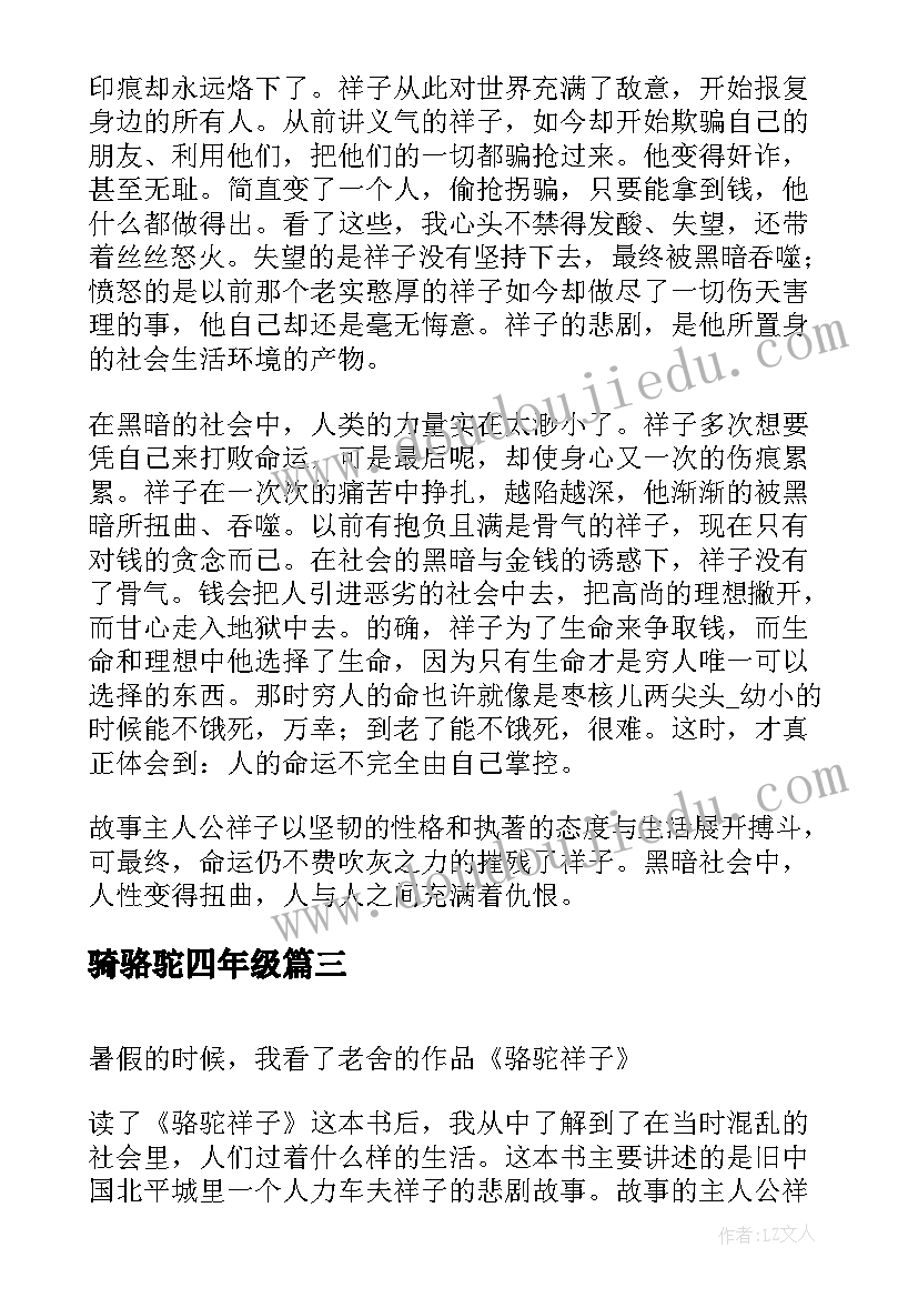 骑骆驼四年级 暑假骆驼祥子读后感(优质8篇)