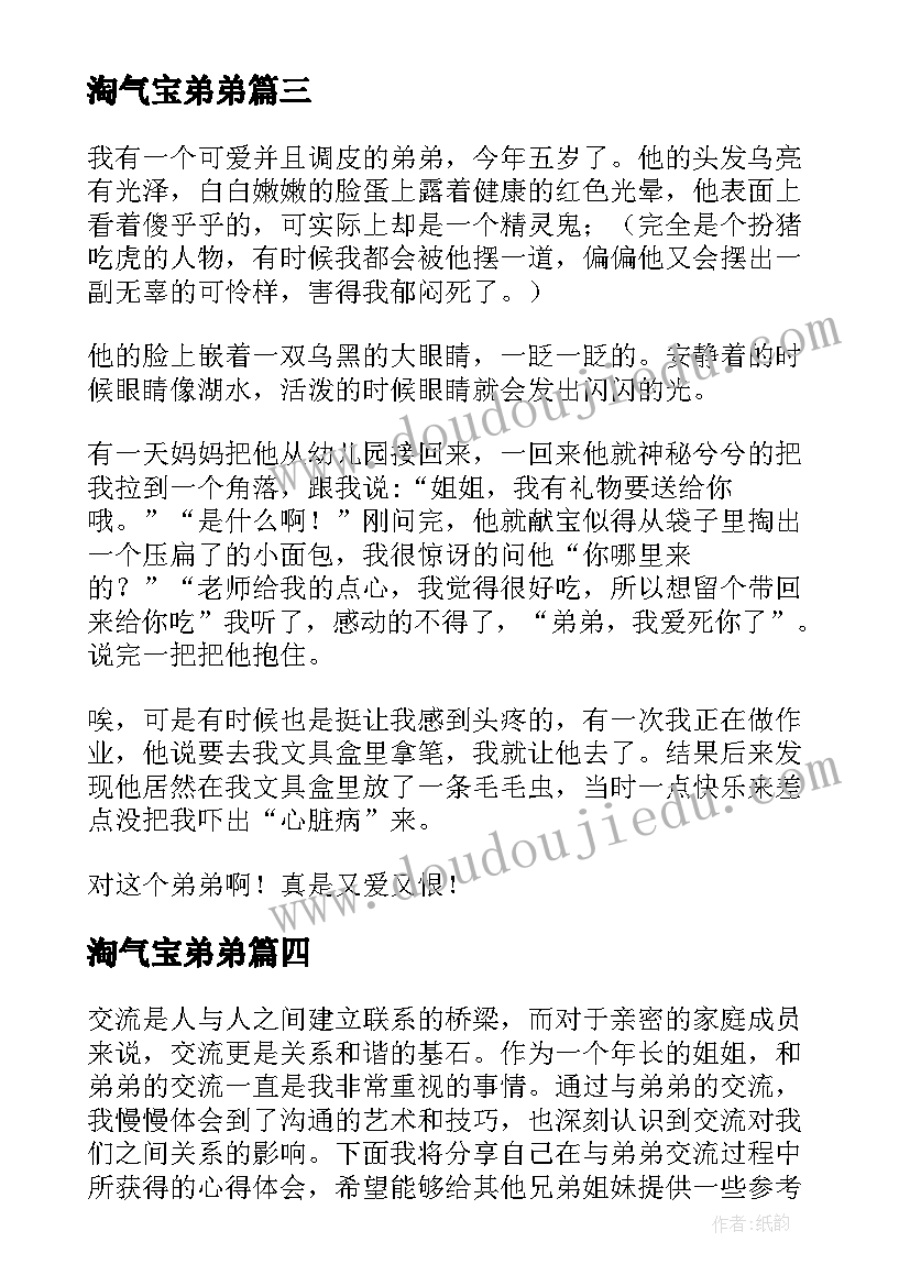 淘气宝弟弟 与弟弟交流心得体会(优秀9篇)