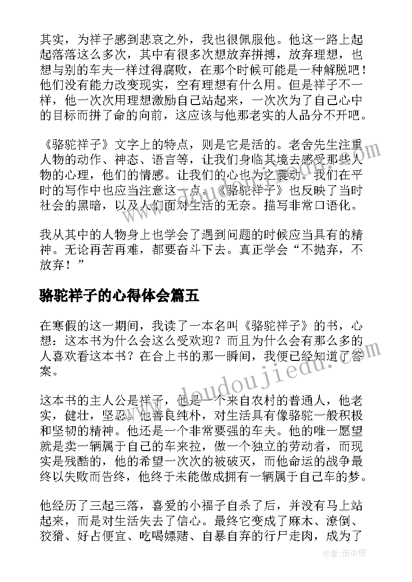 最新骆驼祥子的心得体会 骆驼祥子读书心得与感想(通用16篇)