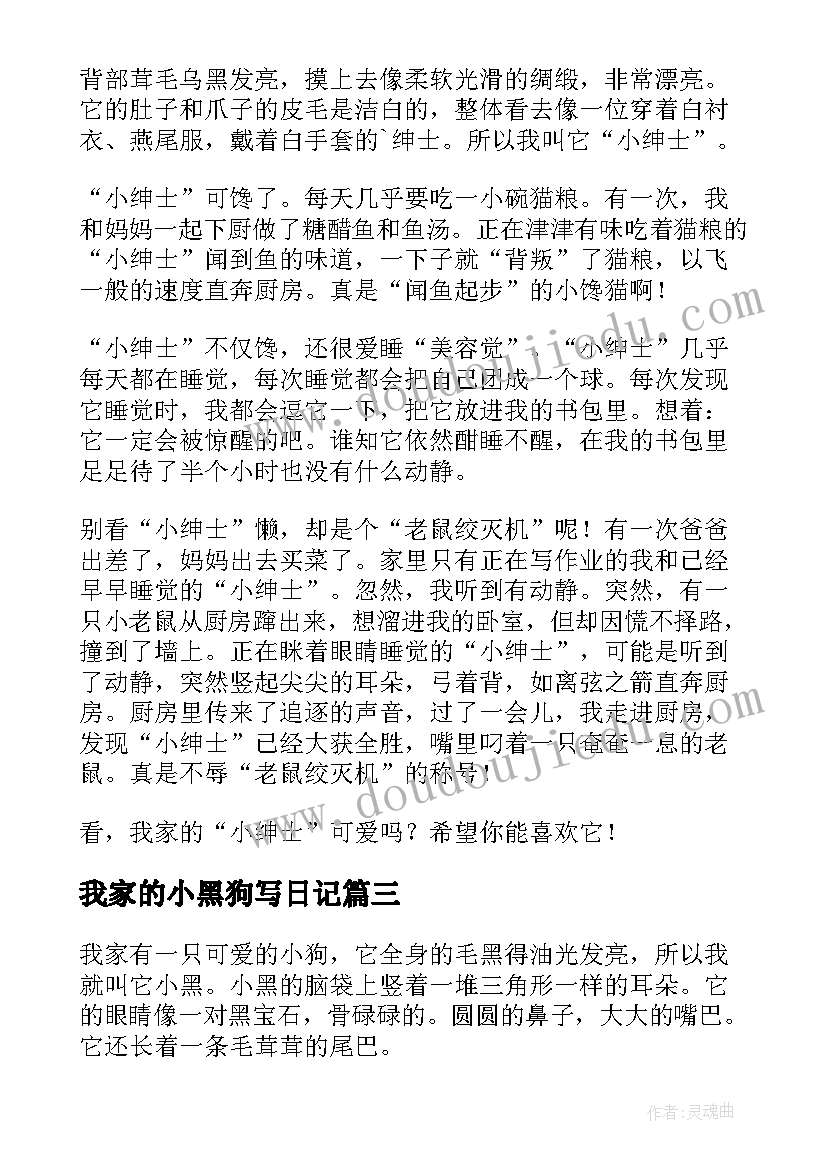 2023年我家的小黑狗写日记 我家的调皮蛋小黑(优质12篇)