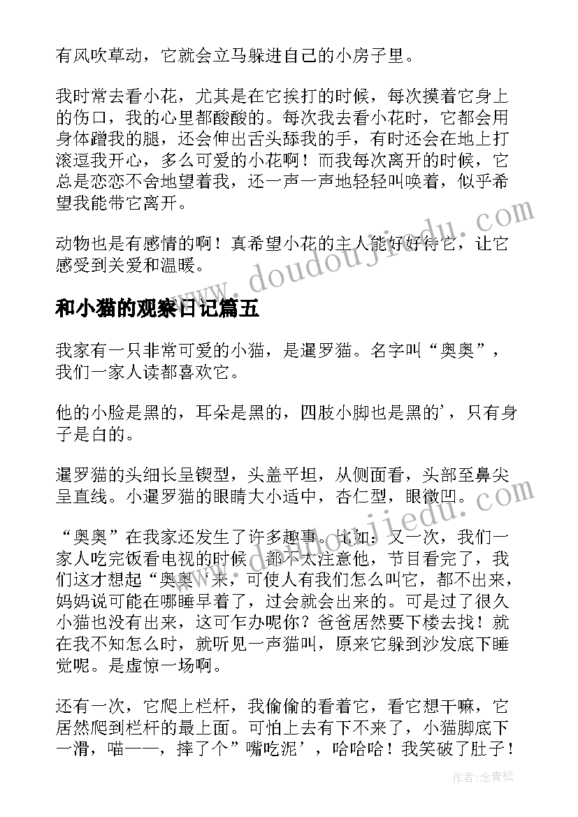 和小猫的观察日记(精选16篇)