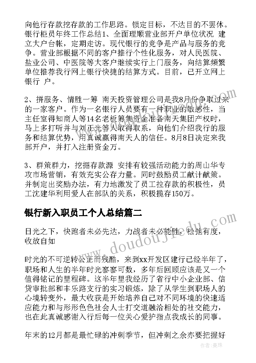 最新银行新入职员工个人总结 银行柜员新入职员工工作总结(通用13篇)