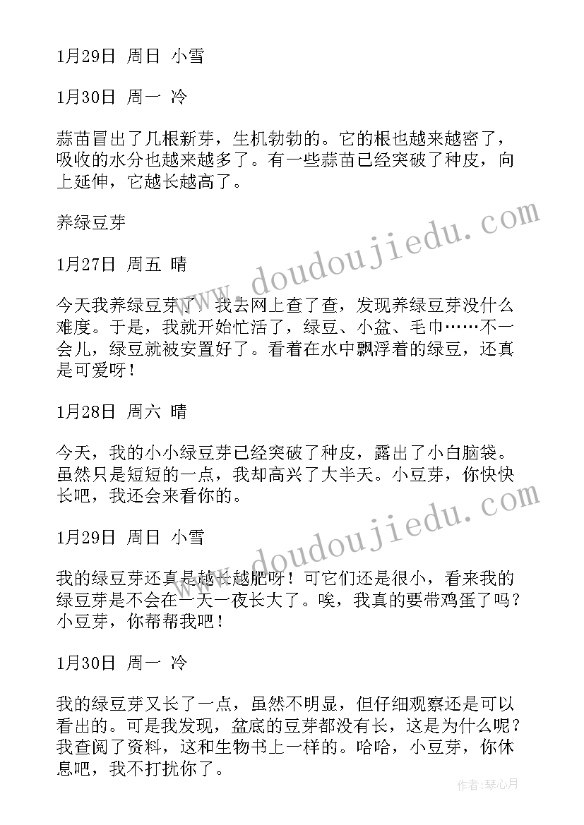 最新小学生写蒜苗的观察日记 蒜苗观察日记(优质17篇)