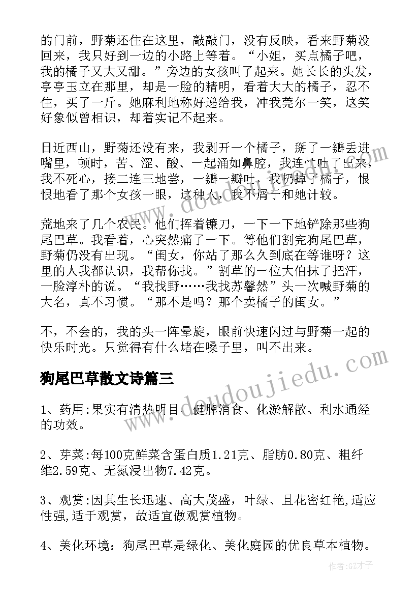 最新狗尾巴草散文诗 狼尾巴草散文(通用8篇)