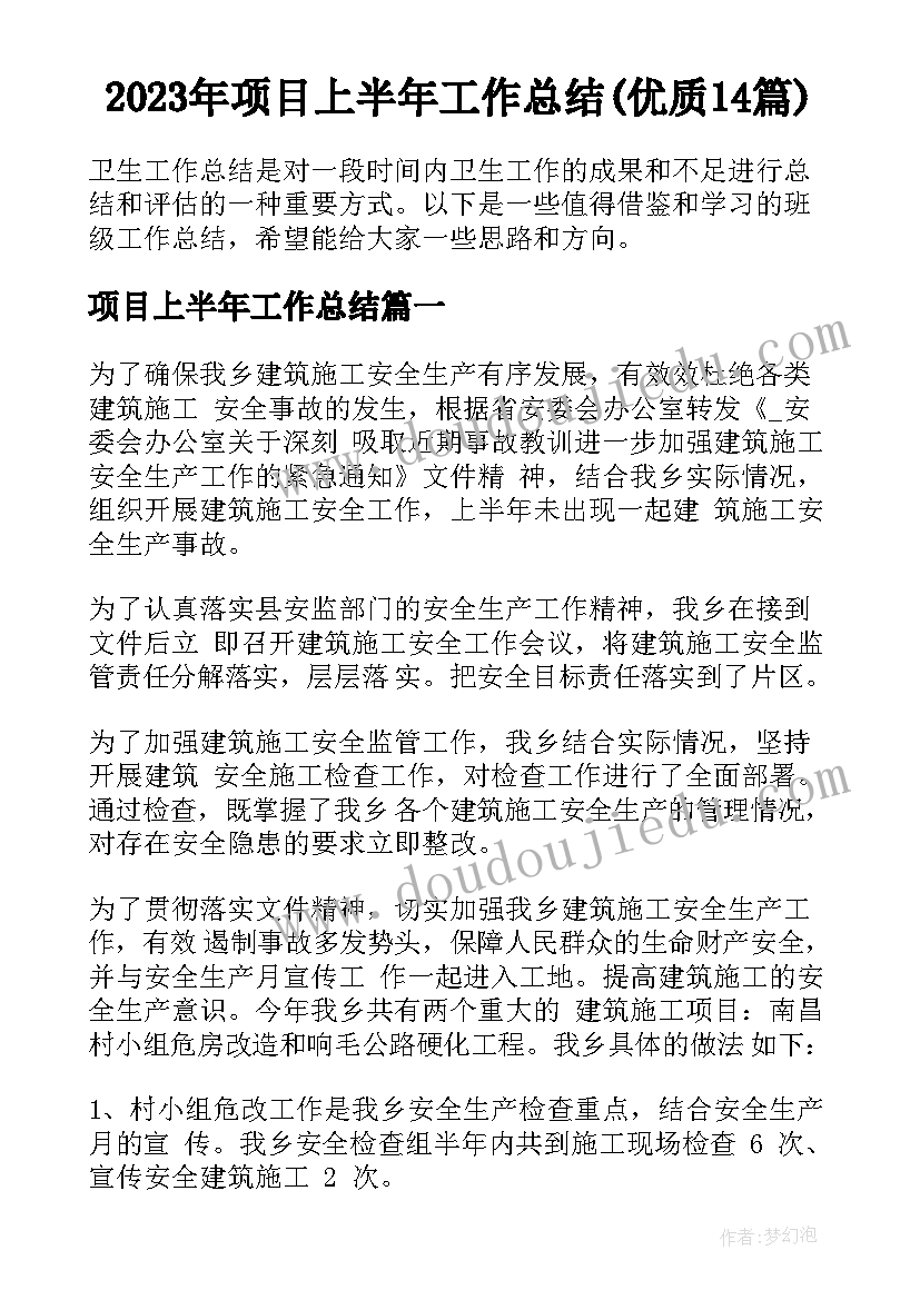 2023年项目上半年工作总结(优质14篇)