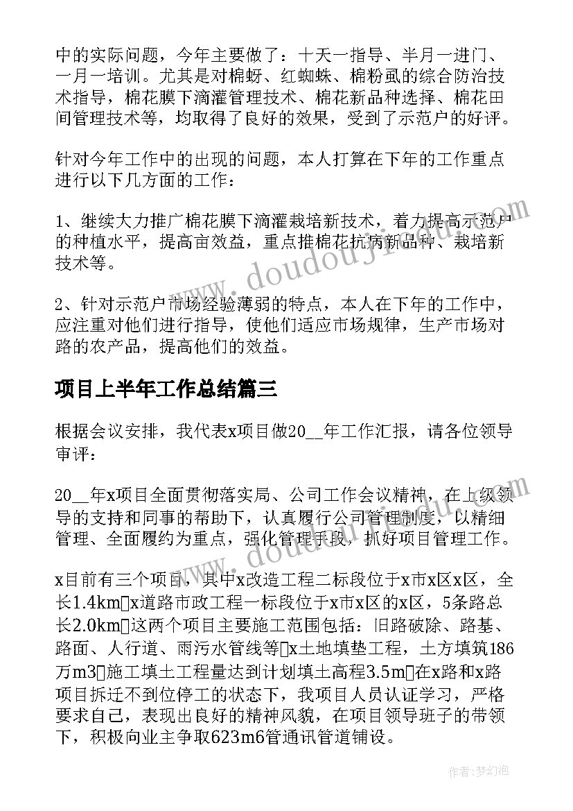 2023年项目上半年工作总结(优质14篇)