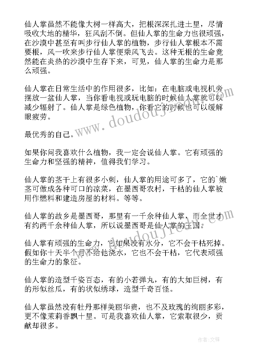 2023年仙人掌植物 植物仙人掌观察日记(实用10篇)