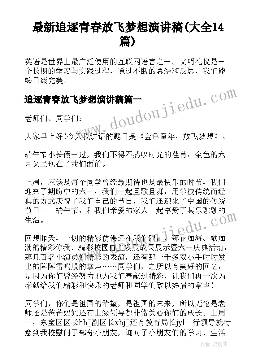 最新追逐青春放飞梦想演讲稿(大全14篇)