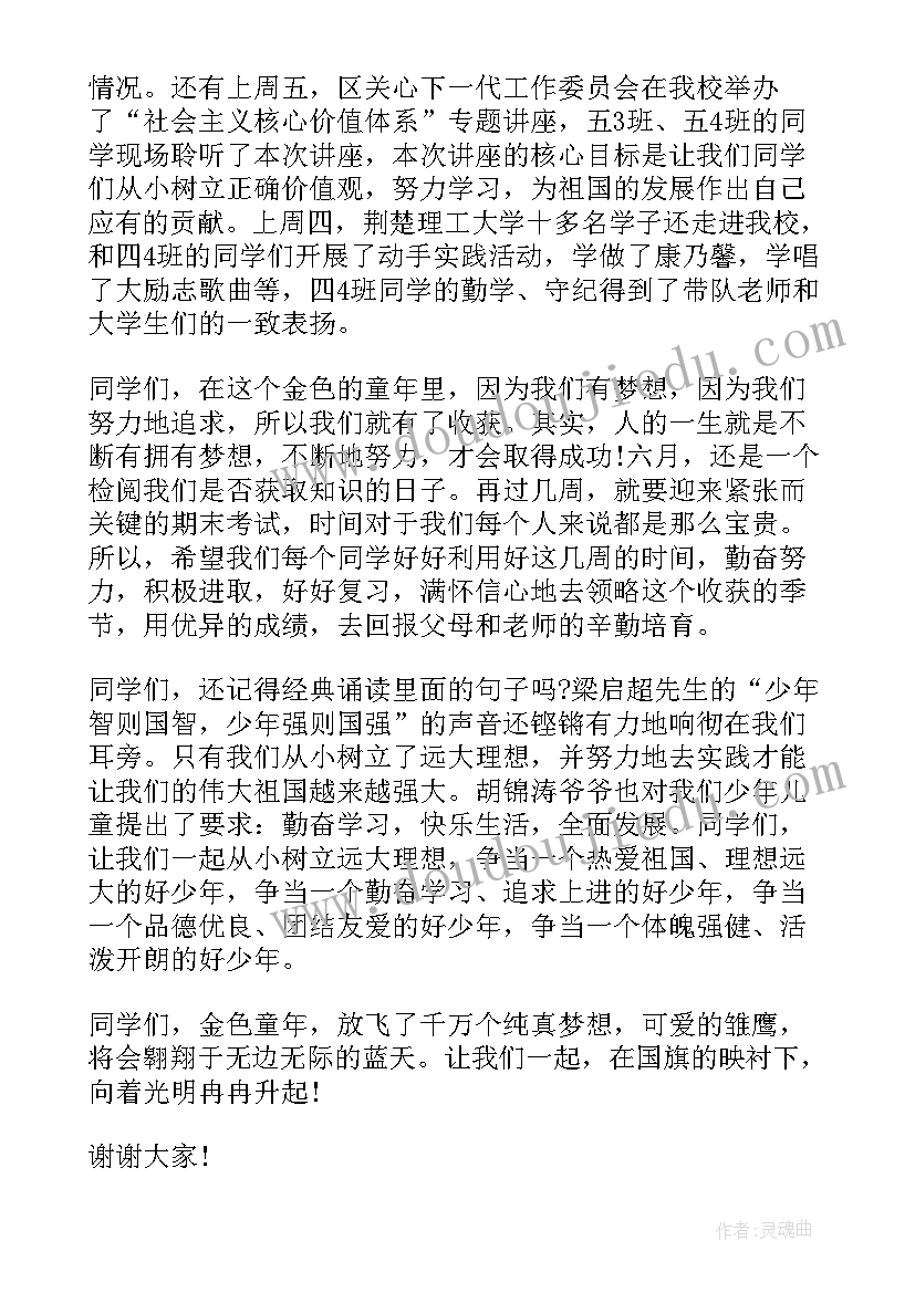 最新追逐青春放飞梦想演讲稿(大全14篇)