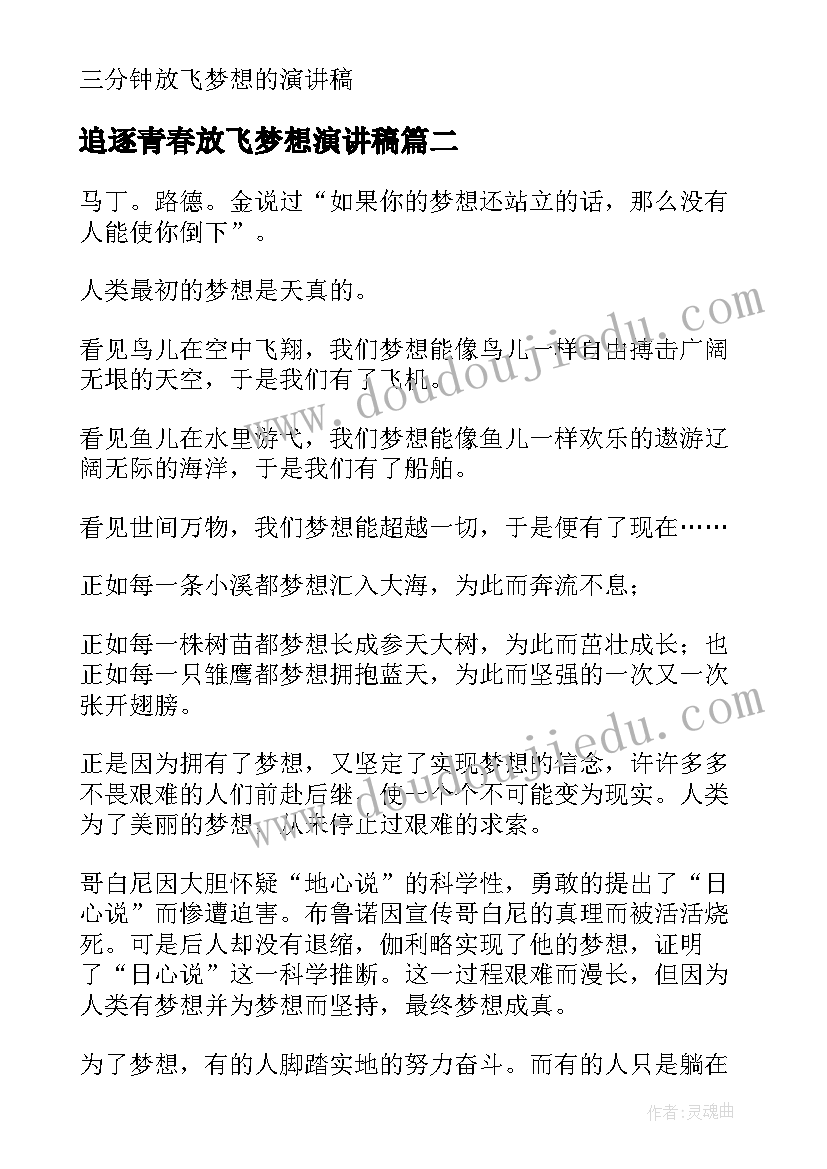 最新追逐青春放飞梦想演讲稿(大全14篇)