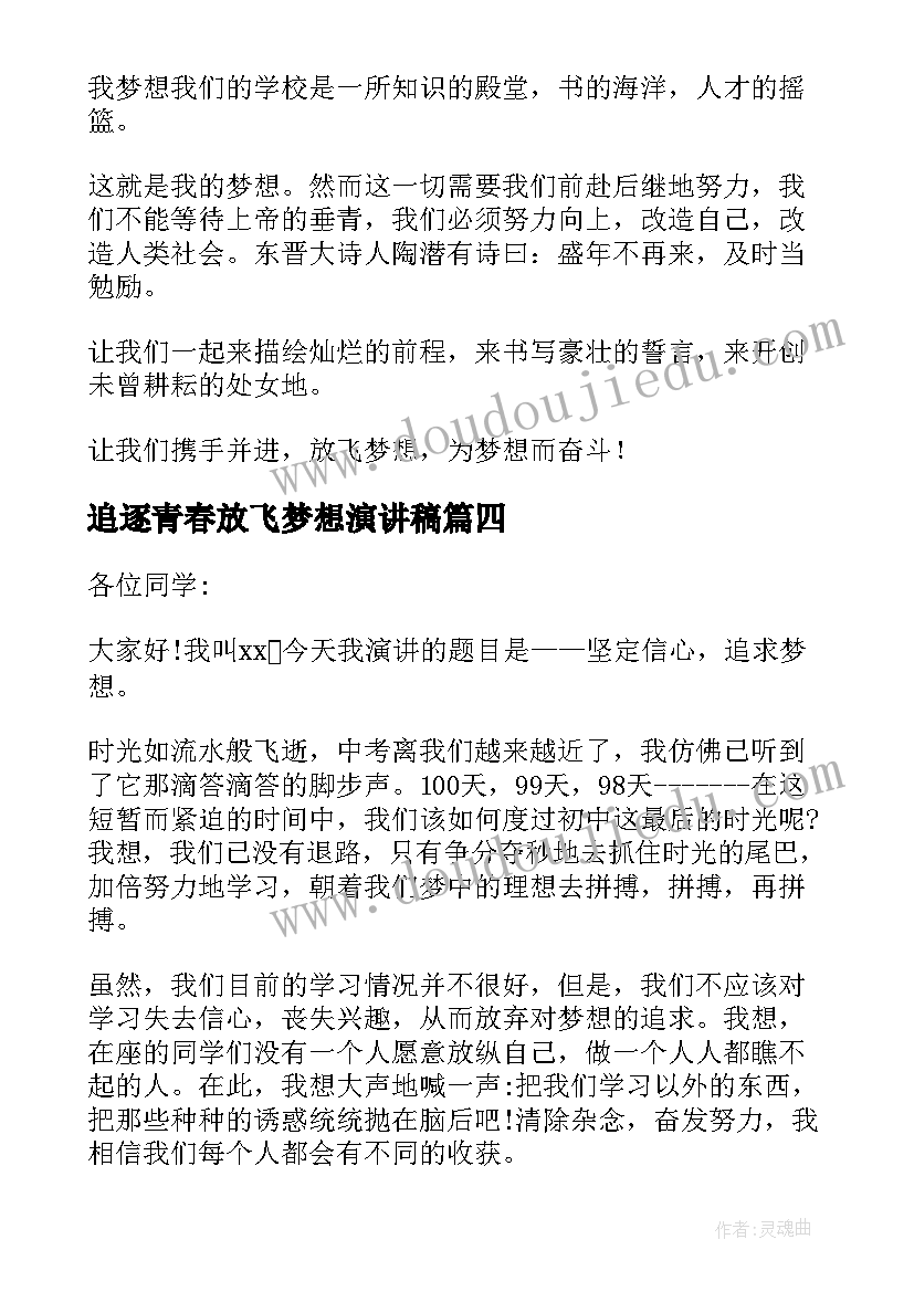 最新追逐青春放飞梦想演讲稿(大全14篇)