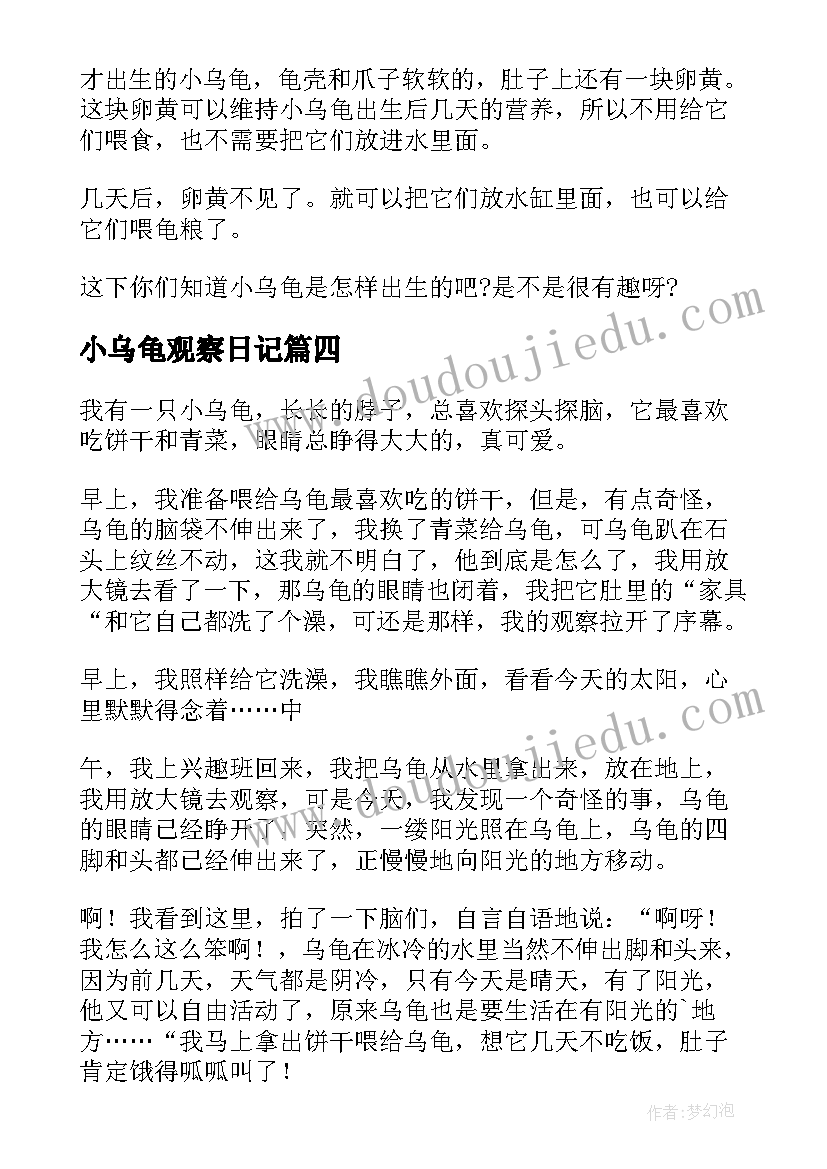 2023年小乌龟观察日记(优质15篇)