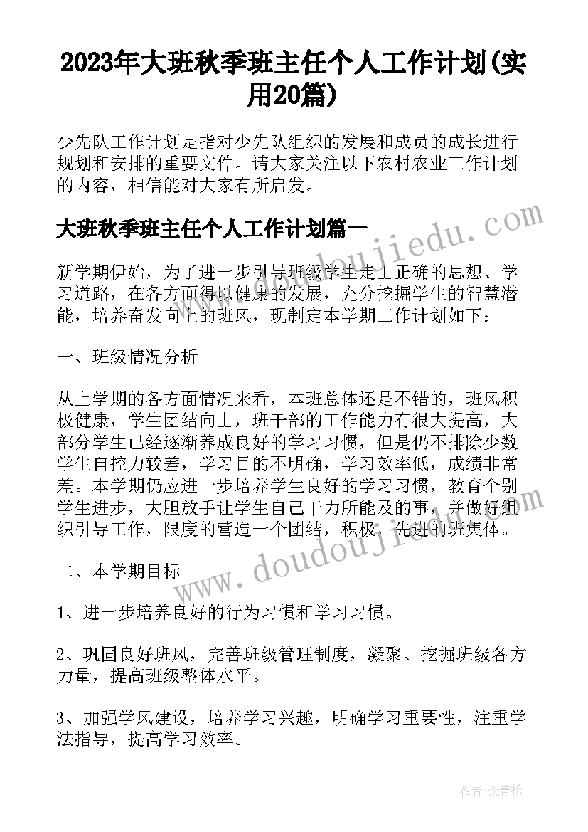 2023年大班秋季班主任个人工作计划(实用20篇)