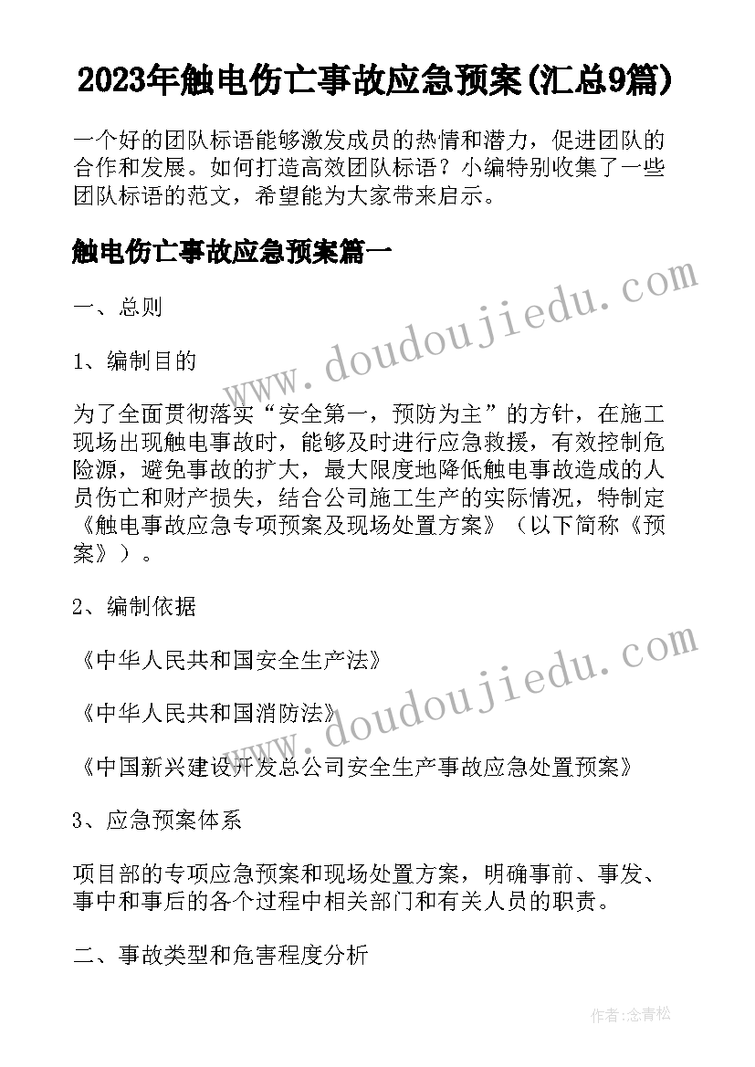 2023年触电伤亡事故应急预案(汇总9篇)