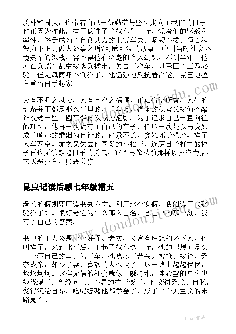 2023年昆虫记读后感七年级(实用5篇)