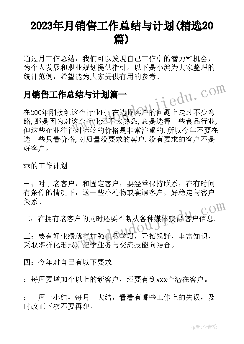 2023年月销售工作总结与计划(精选20篇)