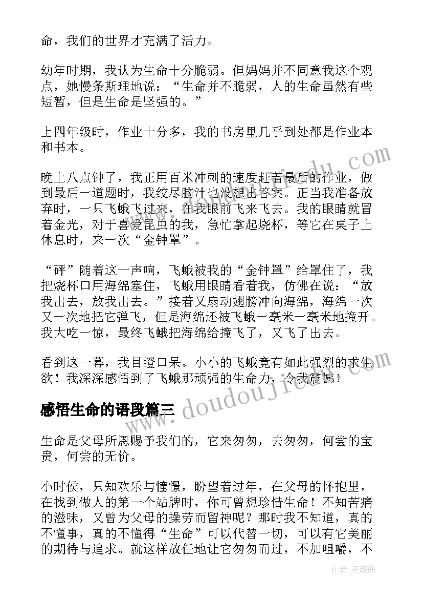 2023年感悟生命的语段(精选11篇)