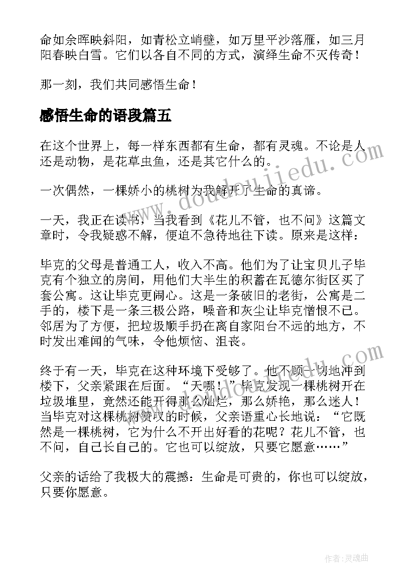 2023年感悟生命的语段(精选11篇)