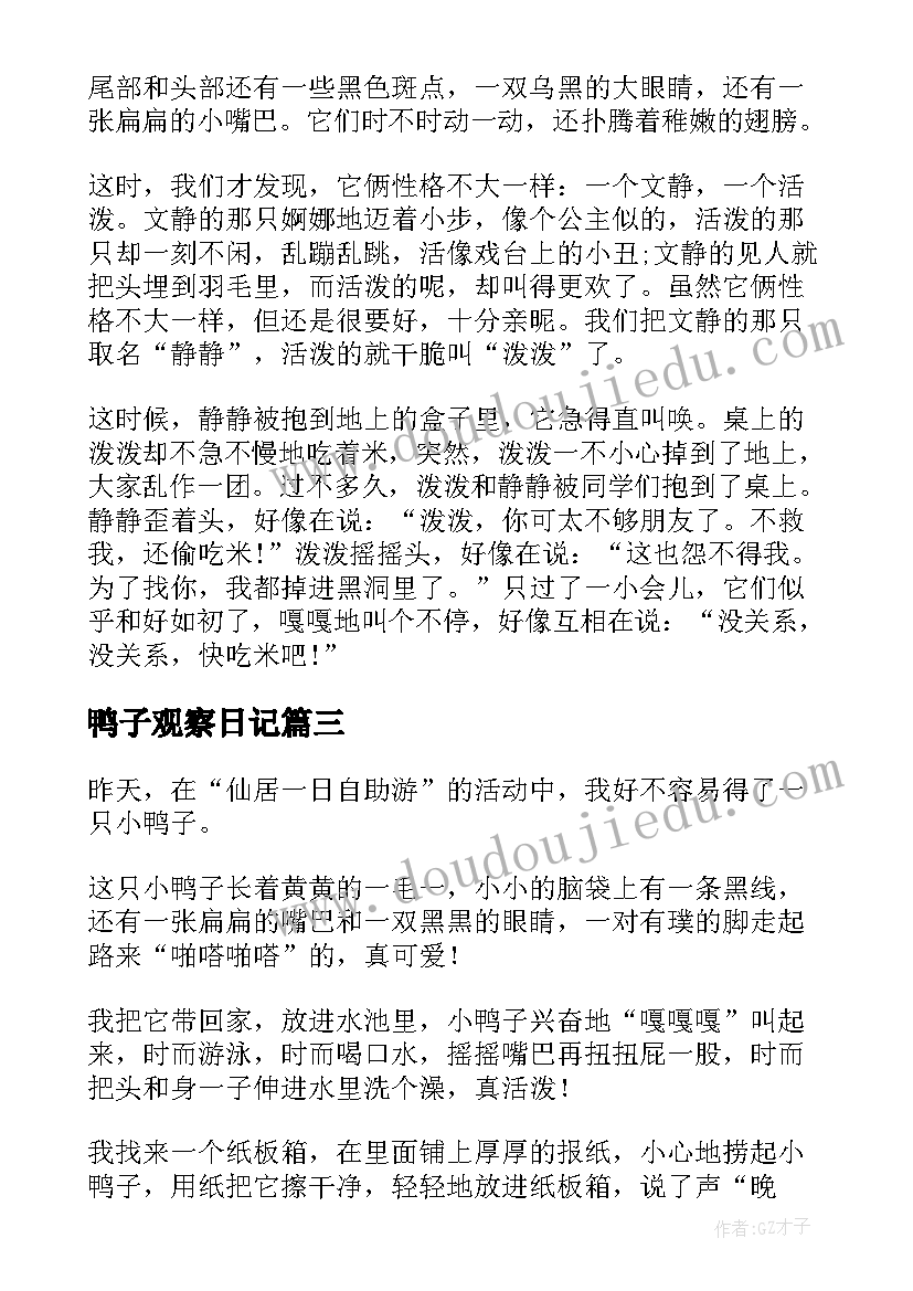 鸭子观察日记(优质8篇)