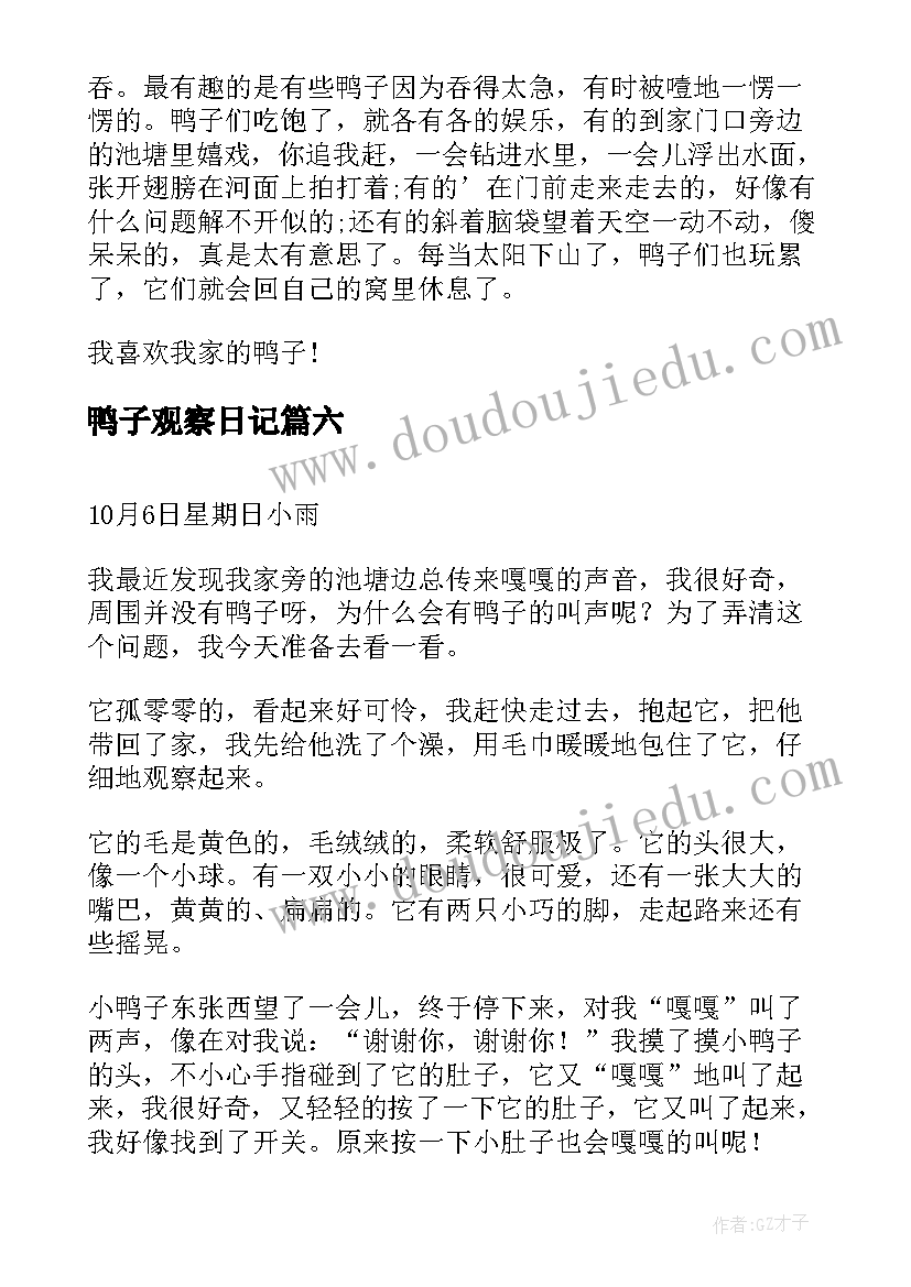 鸭子观察日记(优质8篇)