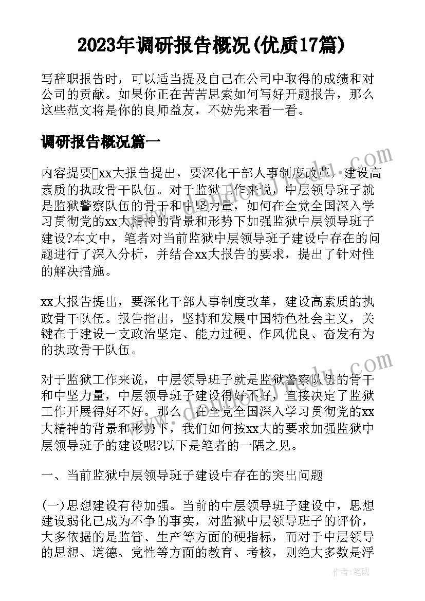 2023年调研报告概况(优质17篇)