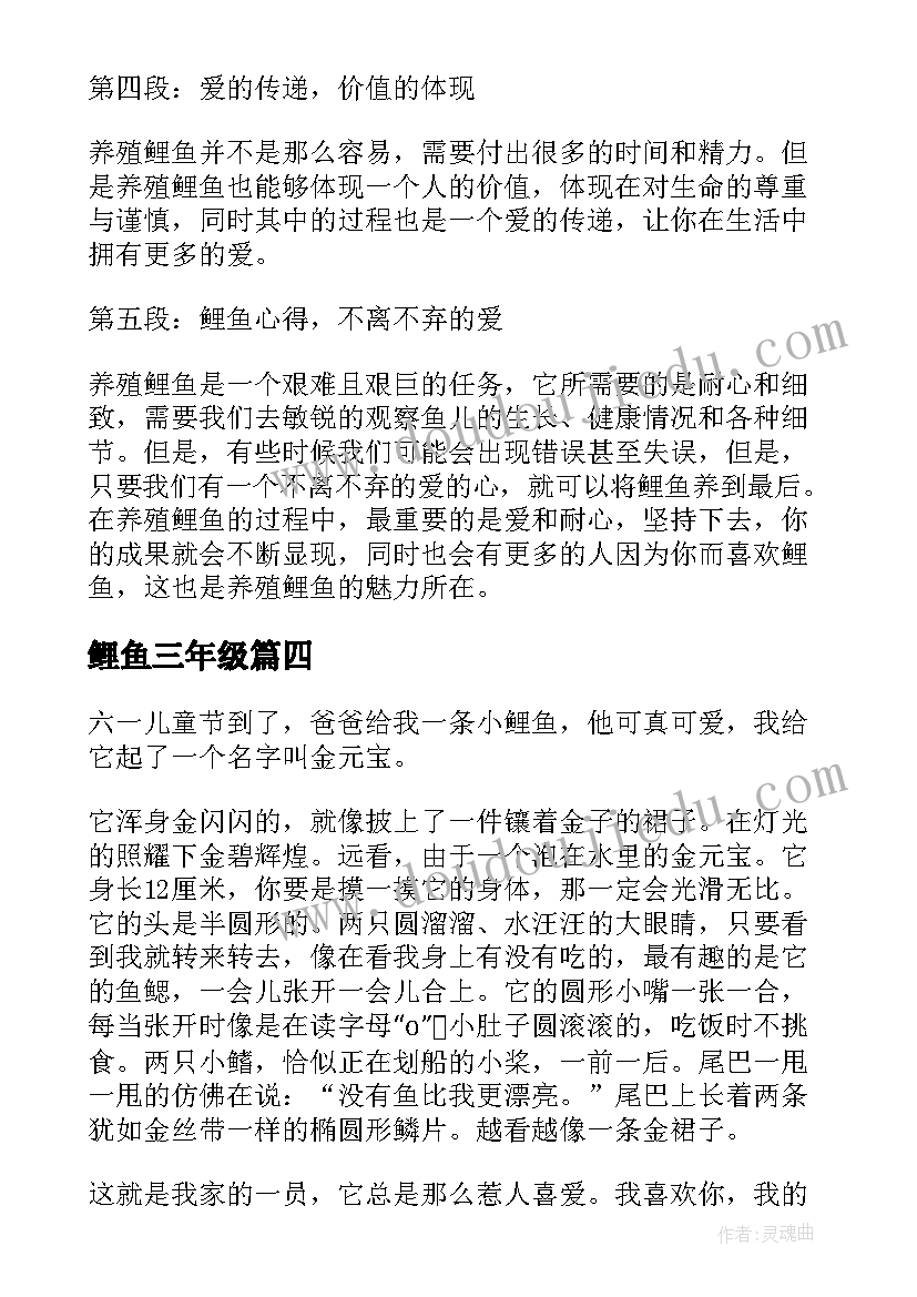 最新鲤鱼三年级 鲤鱼心得体会(精选11篇)