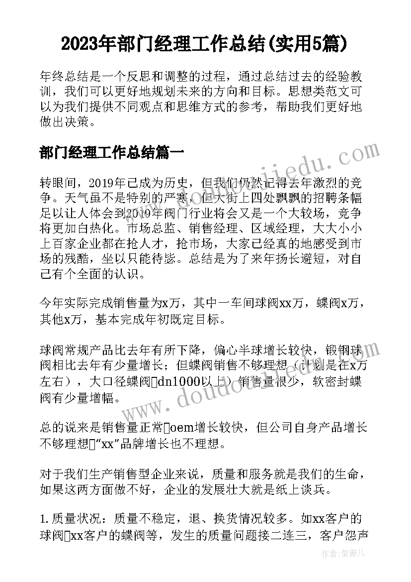 2023年部门经理工作总结(实用5篇)