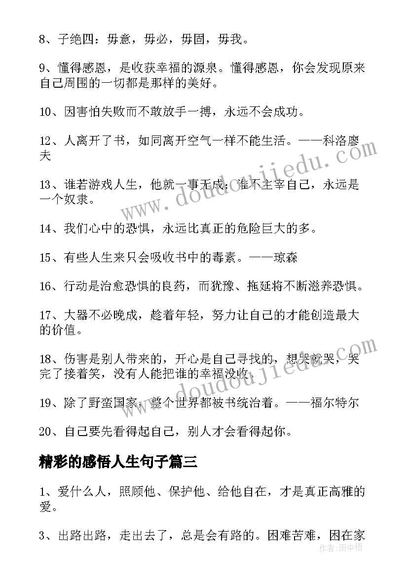 2023年精彩的感悟人生句子 精彩的人生感悟精彩句子(精选10篇)