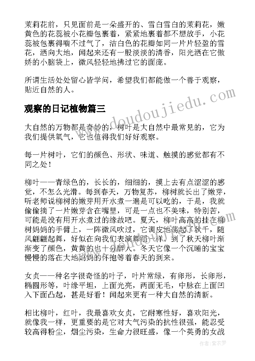 2023年观察的日记植物(汇总12篇)