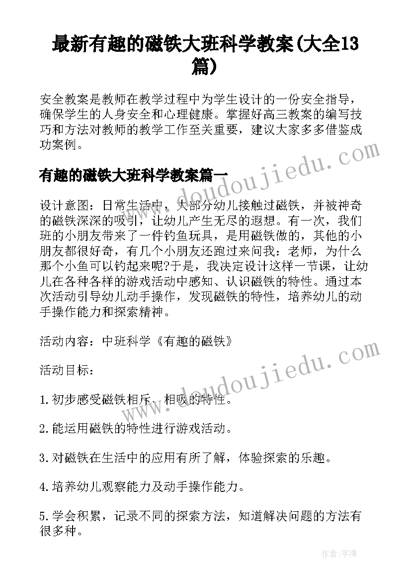 最新有趣的磁铁大班科学教案(大全13篇)