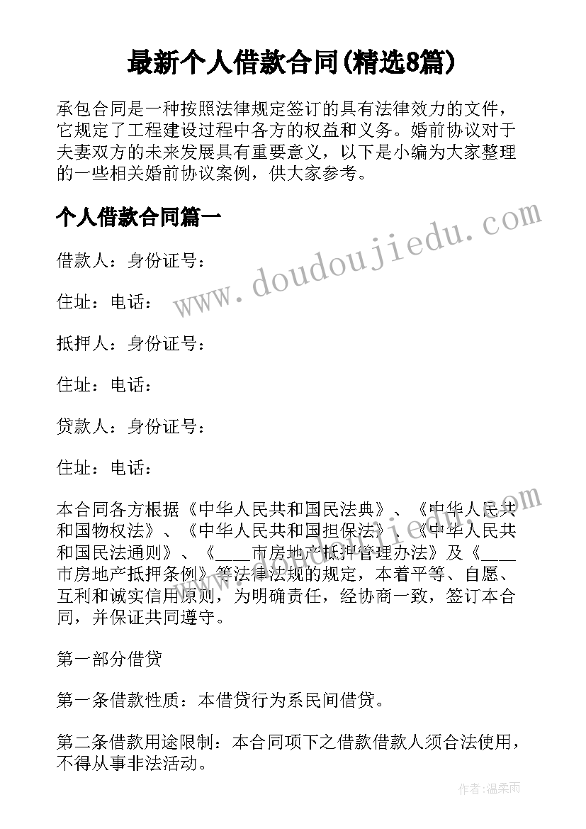 最新个人借款合同(精选8篇)