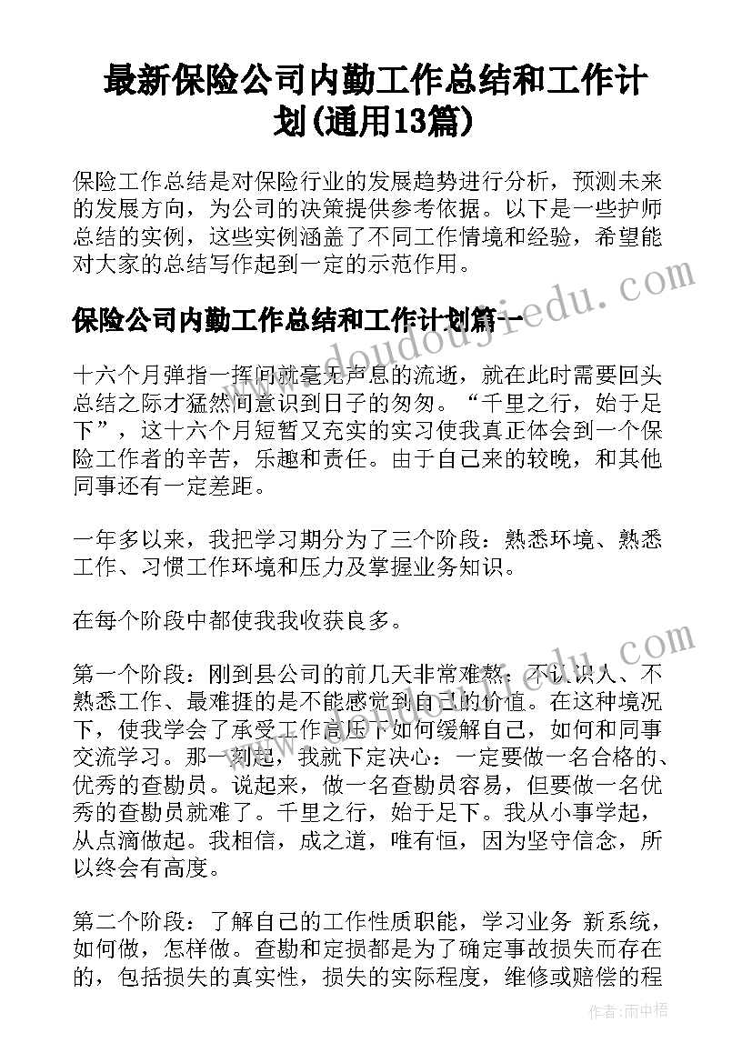 最新保险公司内勤工作总结和工作计划(通用13篇)