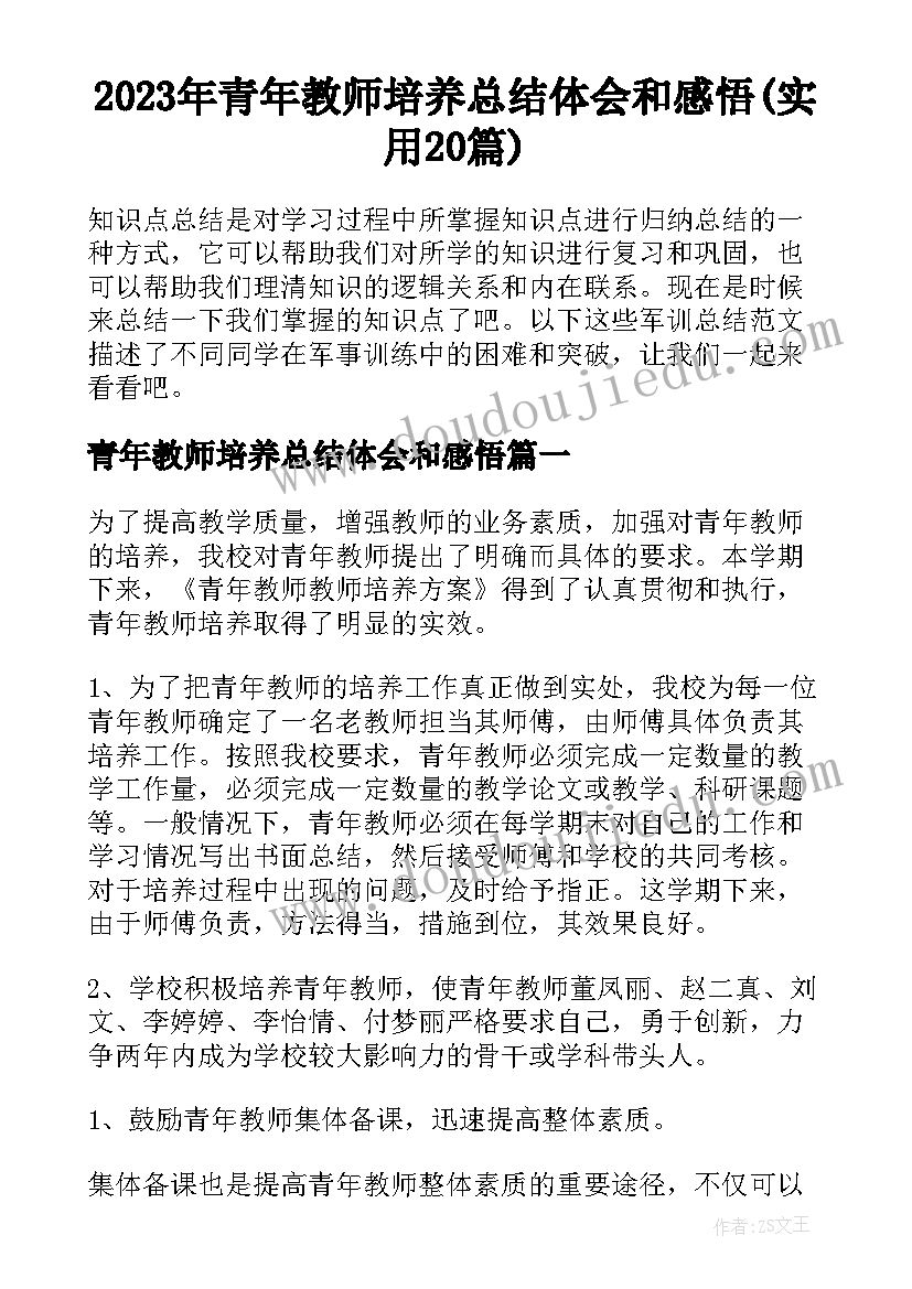 2023年青年教师培养总结体会和感悟(实用20篇)