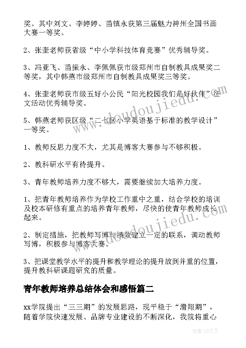 2023年青年教师培养总结体会和感悟(实用20篇)