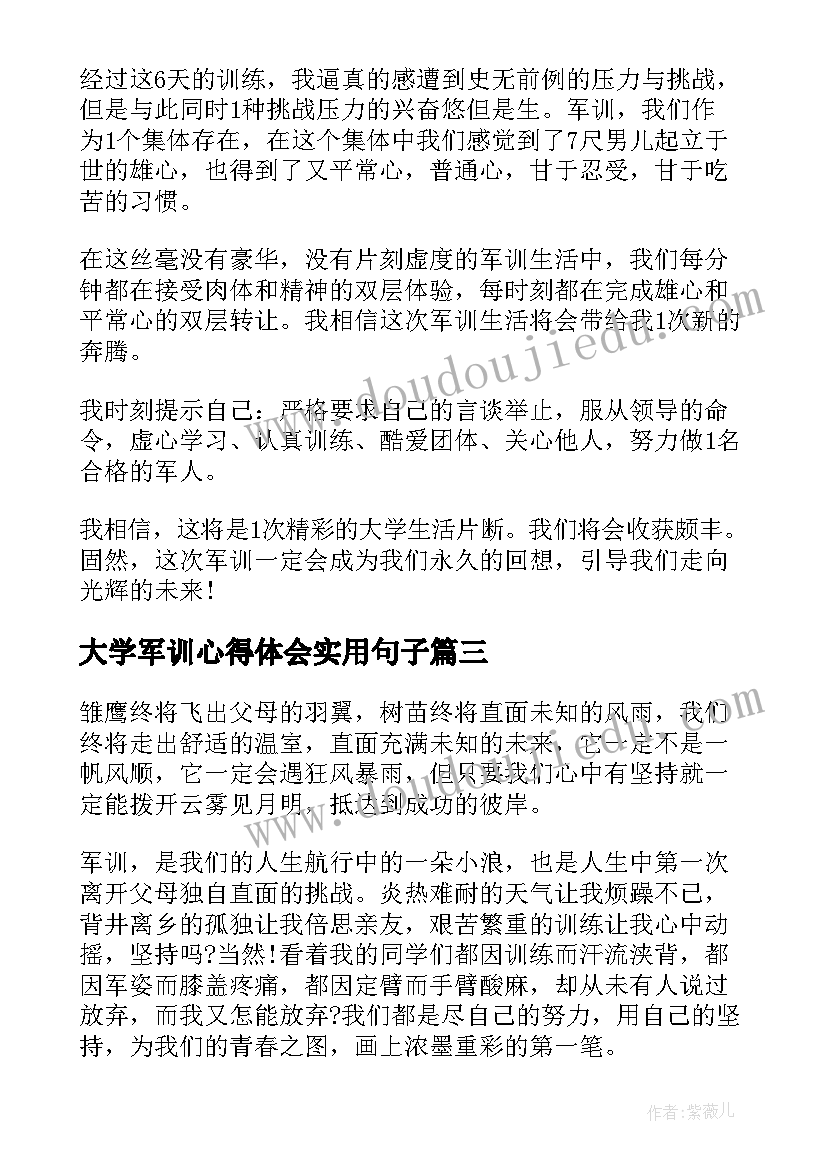 大学军训心得体会实用句子(大全5篇)