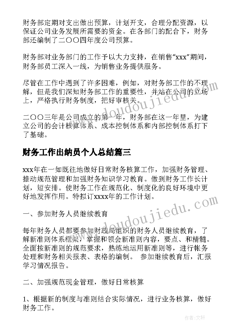 2023年财务工作出纳员个人总结(大全8篇)