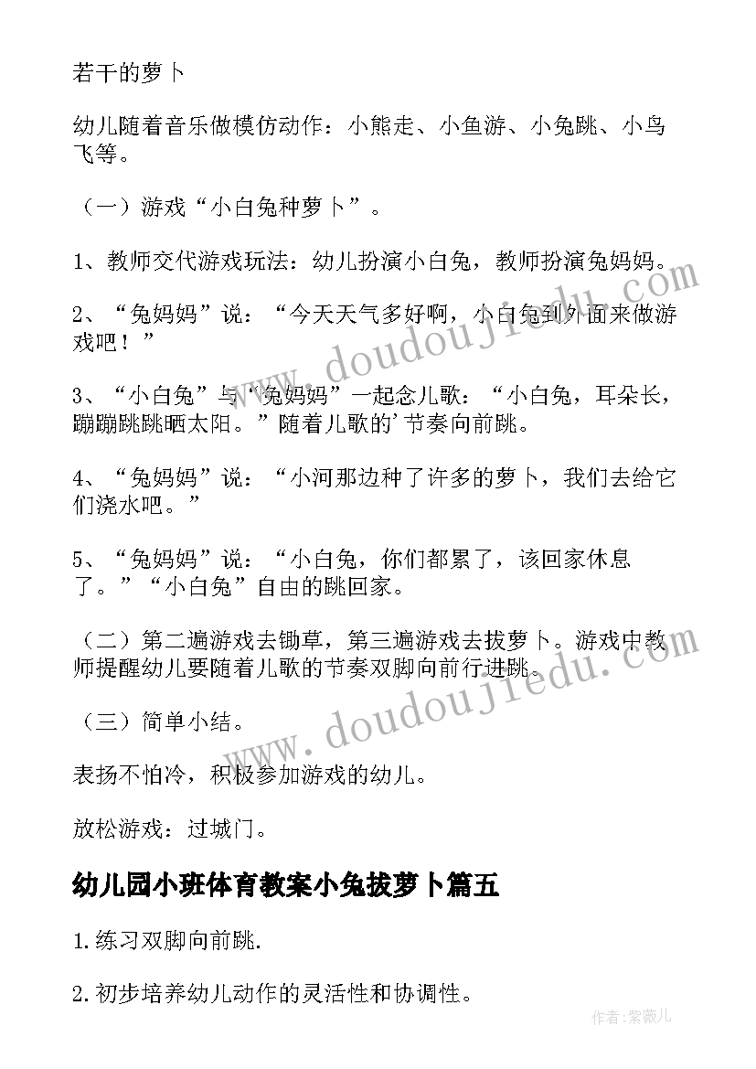 2023年幼儿园小班体育教案小兔拔萝卜 小兔拔萝卜幼儿园小班数学教案(模板11篇)