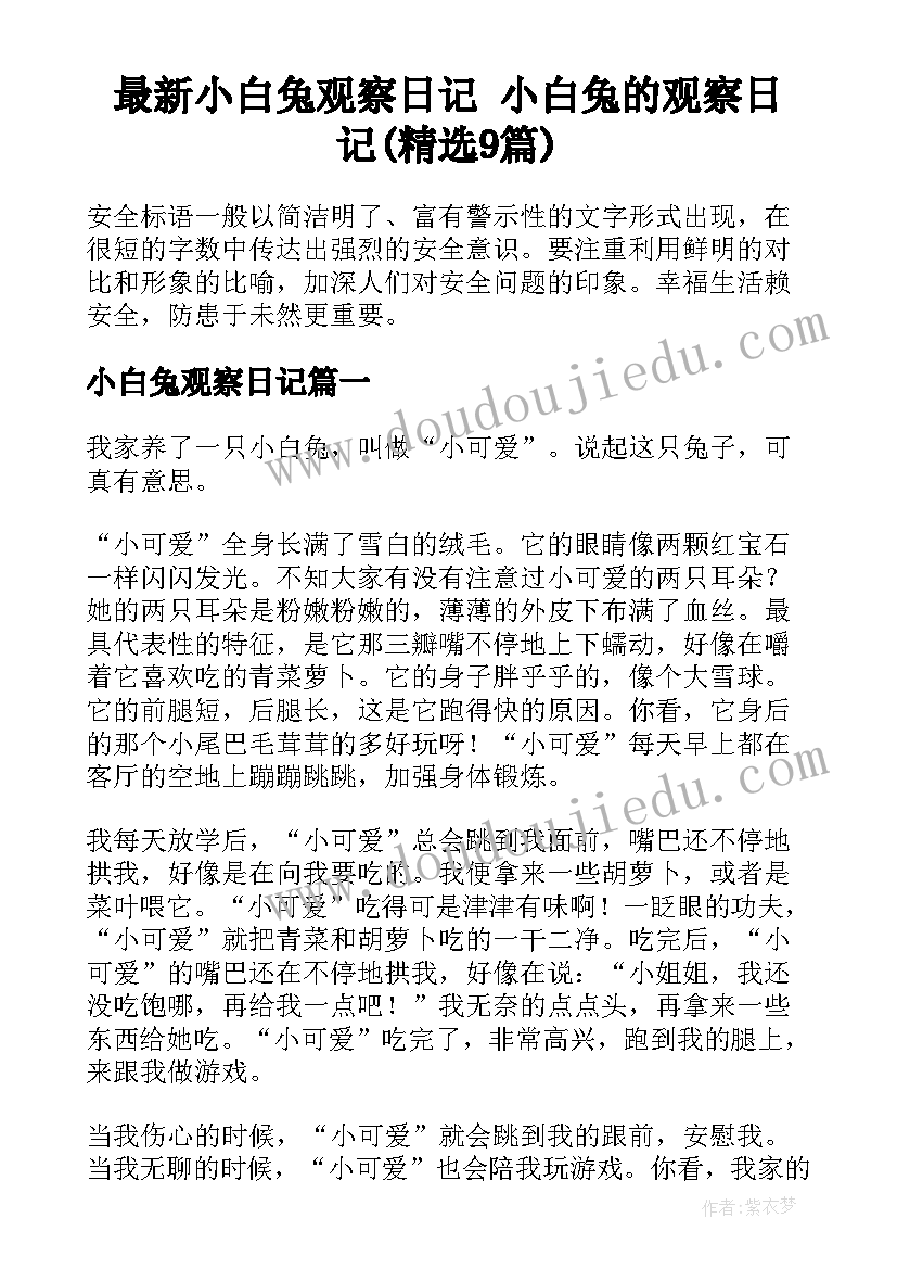 最新小白兔观察日记 小白兔的观察日记(精选9篇)