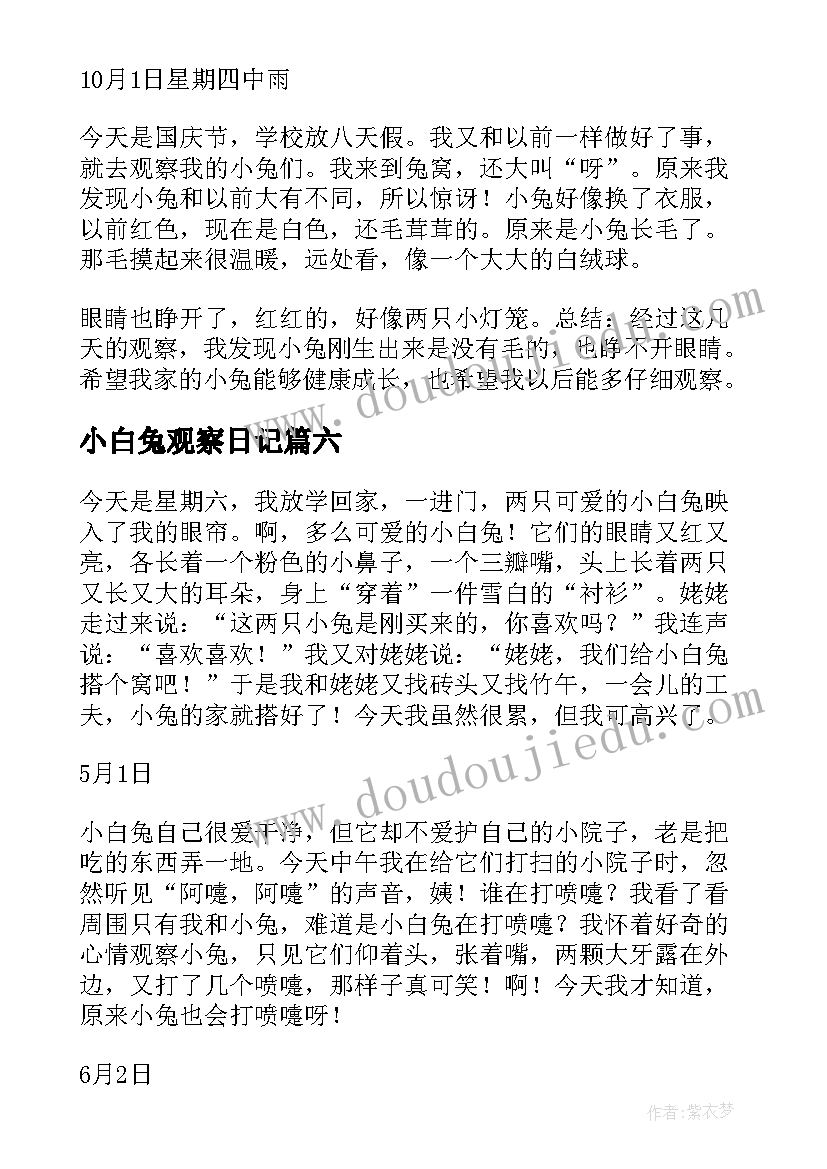 最新小白兔观察日记 小白兔的观察日记(精选9篇)