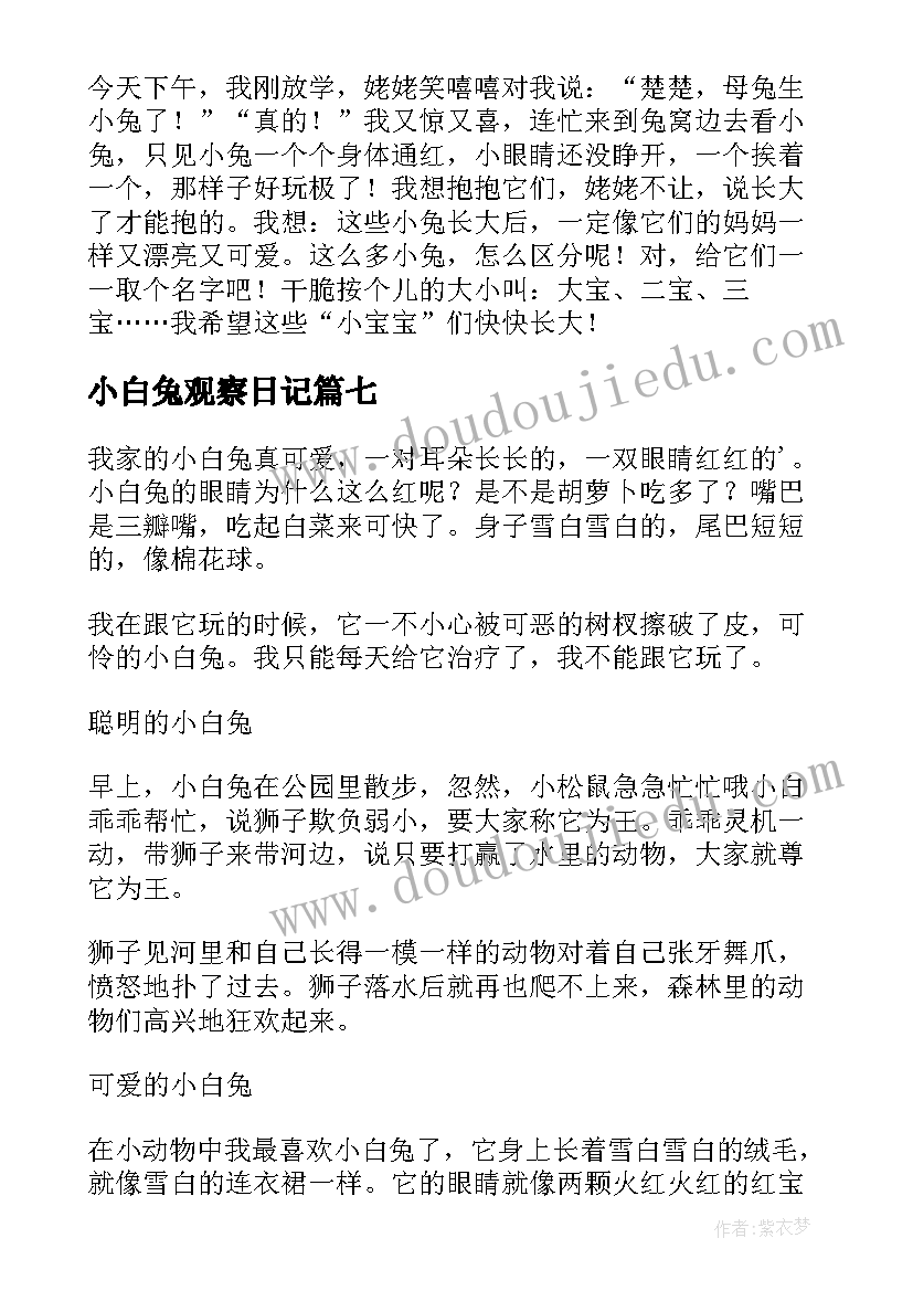 最新小白兔观察日记 小白兔的观察日记(精选9篇)