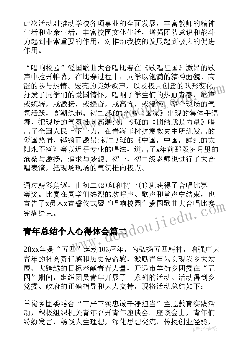 最新青年总结个人心得体会(实用8篇)