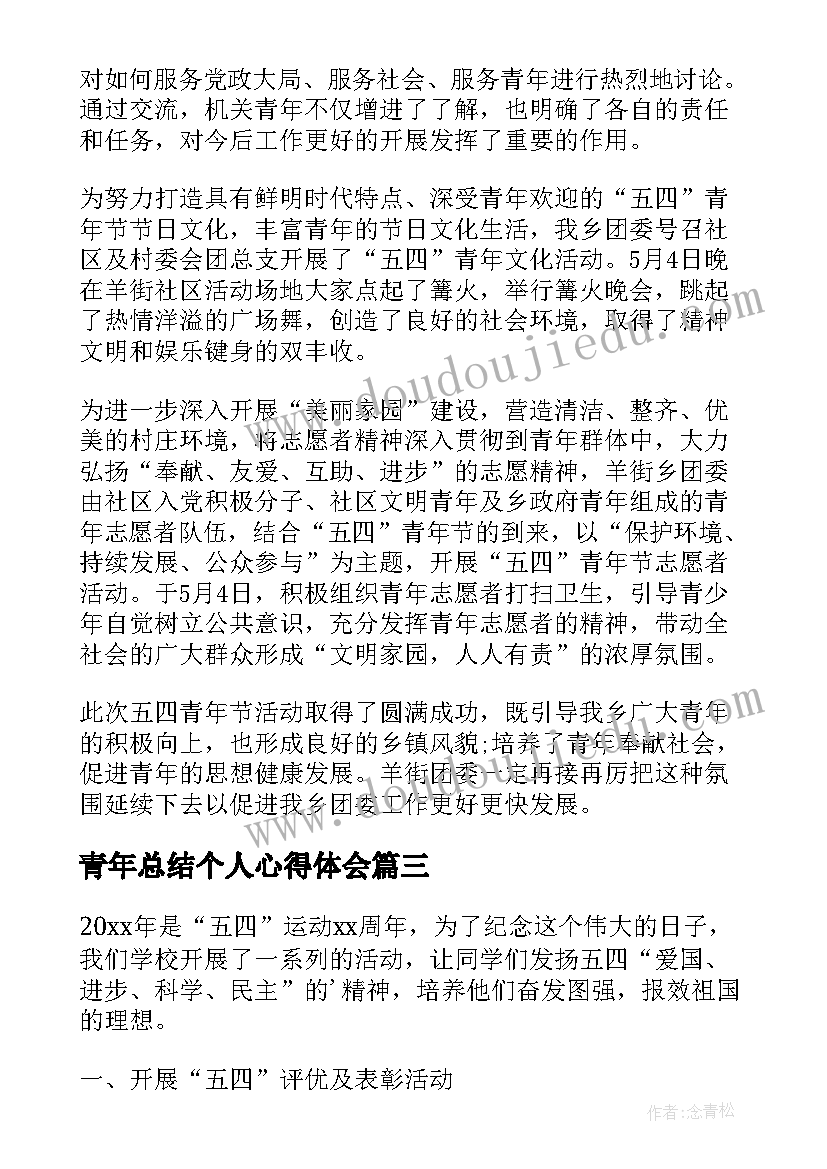 最新青年总结个人心得体会(实用8篇)