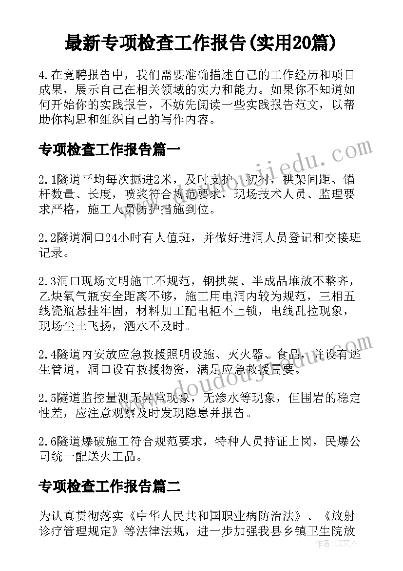 最新专项检查工作报告(实用20篇)