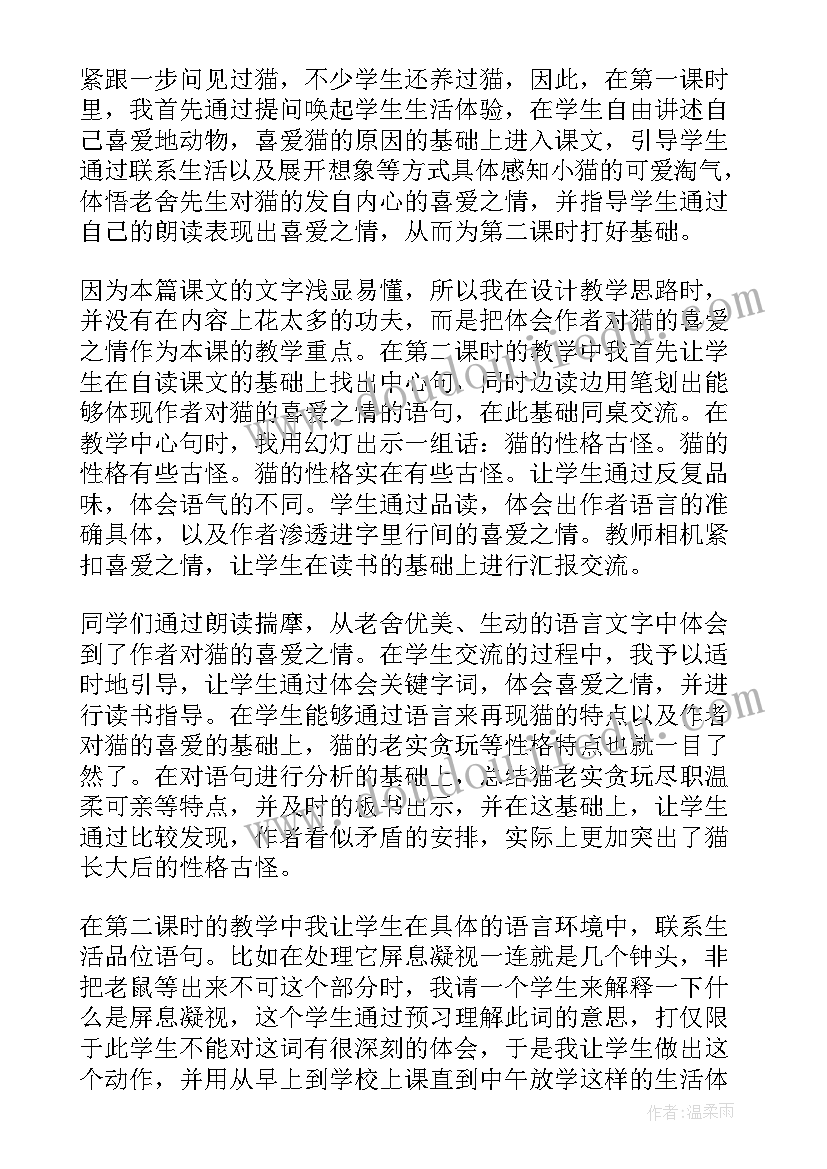 桥的教学反思 课文猫教学反思(优质13篇)