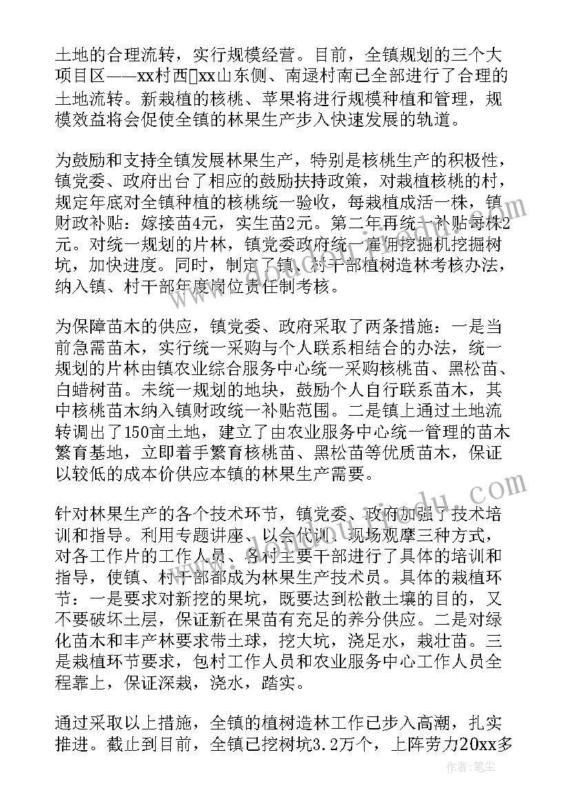 植树造林的总结与体会 植树造林工作总结(优质8篇)